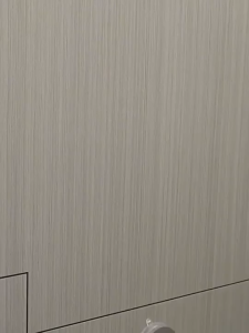 Móc Treo Quần Áo Đa Năng Dán Tường Hút Chân Không Chất Liệu Nhôm Chống Gỉ Chịu Lực Tới 10kg DL22