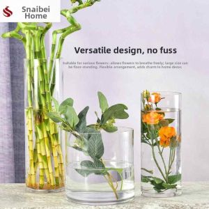 FEIZHUXIANSEN | Heavy Duty Thick Round Glass Vase