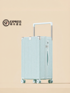 Durable Spacious Travel Suitcase with Lock 20 inch
