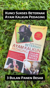 Buku Kunci Sukses Beternak Ayam Kalkun Pedaging