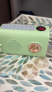 RICHMENT Mini Portable Bluetooth Speaker with FM Radio BT U Disk TF Card Playback Very Long Endurance Compact Wireless Stereo Sound Box