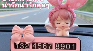 อุปกรณ์รถผู้หญิงยอดนิยม ป้ายจอดรถชั่วคราวลายการ์ตูน ตกแต่งภายในรถ ป้ายหมายเลขศัพท์