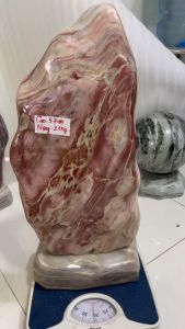 Đá cây đá tụ đá tự nhiên ĐA SẮC cao 57 cm nặng 31 cm vân cực đẹp CHÂN ĐẾ ĐÁ