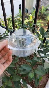 Lốc 100 Cái Bát Tròn Liền Nắp Đựng Bánh Bông Lan - Hộp trong suốt