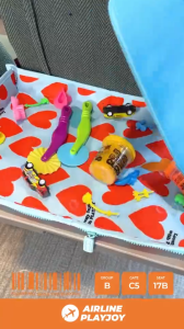Playjoy Airplane Bag (Assorted Designs)