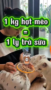 HẠT MÈO MIX RUỐC NINACAT 3 KG NGON MÊ LY