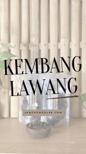 Kembang Lawang - Bunga Lawang - Bunga Pekak - Star Anise