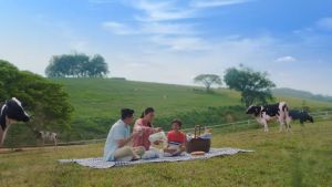 Nestle Nestum All Family Cereal Original/Haney(450g)