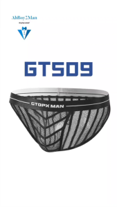 Mens Brief: Mesh Opaque Striped Brief (GT509)