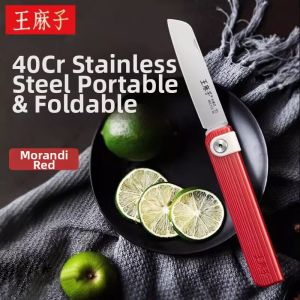 WANGMAZI | Foldable Outdoor Portable Fruit Knife Stainless Steel