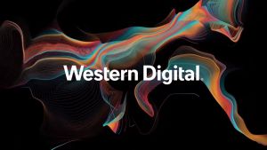 WD Caviar Red Plus NAS PC Hard Drive Internal Hdd 64MB / 128MB / 256MB SATA III 3.5"inch (1TB2TB4TB6TB8TB10TB12TB)