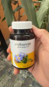 รางจืด แคปซูล ตรา ภูรีเฮิร์บ Puree Herb laurel clockvin Capsule pu 1 ขวด 60 แคปซูล ดื่มหนัก เมา เมาค้าง สุรา ร้อนใน