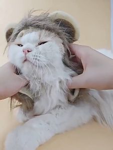 Mũ nón cho Chó Mèo hình sư tử (mẫu mới) - Love Pets Shop