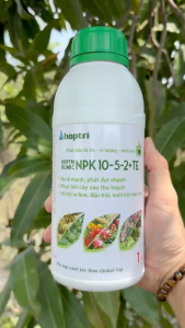 Phân Bón Lá Đa – Vi Lượng – Sinh Học HOPTRI HUMIC NPK 10-5-2+TE – Ra Rễ Mạnh Phát Đọt Nhanh Phục Hồi Cây Sau Thu Hoạch Hỗ Trợ Ra Hoa Đậu Trái Nuôi Trái Mau Lớn (Chai 1 lít)