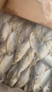 Ikan Asin Selar Murah Bisa COD