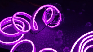 AceDeal [Support Lalamove Bulk Orders] 12V LED Strip Light Flexible Neon Light Super Bright Outdoor Waterproof Eye Protect Neon Strip Cuttable Per 25mm For Indoor Outdoor Xmas Home Decoration[Without Power Adapter]