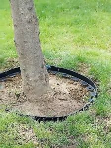 Tấm Chắn Cỏ Cao 5CM Dài 10 Mét Tặng 30 Đinh Gia Cố Thẩm Mỹ Dễ Tạo Hình Thi Công Nhanh