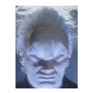 Sketch Hammer Shark Stamp Pet Theme Kitten Puppy Stamp Cats And Dogs Themed Collectible Toy for Pets