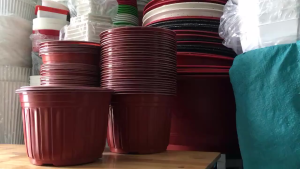 Chậu Nhựa Mỏng Dẻo Nâu Đỏ trắng Vành Cứng Trồng Cây ươm cây-đường kính 23x16cm