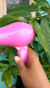 ( BAYAR DI TEMPAT ) HAIR DRYER - PENGERING RAMBUT HAIR DRYER FLECO 258 - Perawatan Rambut & Peralatan Styling
