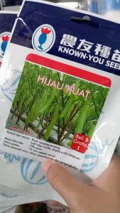 Benih Terong Hibrida Hijau Kuat S706 5 Gram ( Beli 5 Gratis 1 )