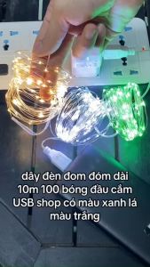 (Đầu Cắm USB) Đèn Led Trang Trí Đom Đóm Dài 10 Mét 100 Bóng Mini Chipsbling Fairy Light Không Nháy