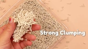 SNAPPY TOM Tofu Cat Litter 7L (2.8KG) / Pasir Kucing / Cat Sand