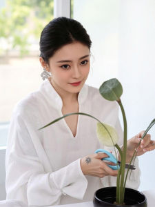 เสื้อเชิ้ตคอวีสีขาวสไตล์จีนใหม่สำหรับผู้หญิง ฤดูร้อนปี 2025 เสื้อเชิ้ตคอวีใหญ่สไตล์เรียบง่ายหรูหราสุดหรูหรา แขนยาว ทรงหลวม