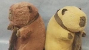 Dreamtoys96 Boneka Capybara Syall Animal Kapibara Brown Syall Ukuran L
