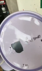 [ Kawasaki RR150 Grey Body RR KRR02 ] Crystal 2K Paint CW Aikka DIY Aerosol Cat Spray Bottle Motor