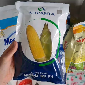 BENIH JAGUNG MANIS MADU 59 F1 250 GRAM ADVANTA