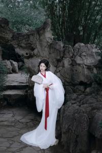 White Adult Womens Hanfu Ancient Chinese Costume Straight Hem Long Sleeve Dress New 2025 Elegant Fairylike Fashion Design