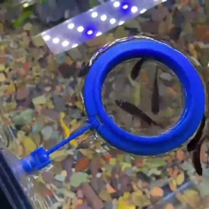 ที่กั้นอาหารปลาทรงสี่เหลี่ยม ทรงกลม ที่ให้อาหารปลา ห่วงให้อาหารปลา ป้อนกันอาหารปลาเข้าตัวกรอง รักษาคุณภาพน้ำปลา