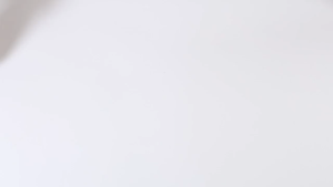 Console Dust Net Black/WhitePVC Protective ventilation net For PS5 Disc&Digital Accessorie