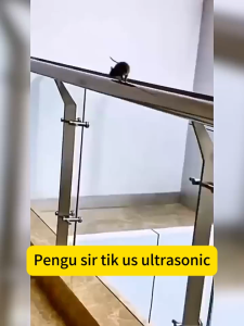 [DISKON 50%] Alat Usir Tikus Ultrasonic Terbaik - Bebas Tikus Tidur Nyenyak!Alat Pengusir Tikus Ultrasonic Pest Repeller Pest Repeller Pest Reject Alat Pengusir Kecoa Nyamuk Tikus Serangga Semut/ Obat Nyamuk/Alat Pengusir Nyamuk