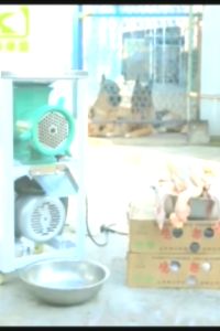 Commercial Food Grinder