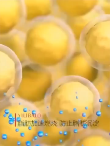 Slimming fat belly Slimming cream Weight Loss cream Weight Quick Loss Thigh Arm Waist Herbal Belly Button Detox Adhesive