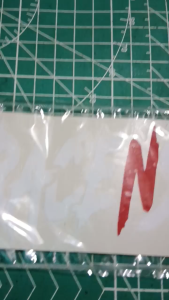 RACE N STYLE. VINYL STICKER DECALS CUT OUT. Color options white and black. MOCK UP DESIGNS AND ACTUAL PHOTOS.  AVAILABLE IN ANY SIZE AND COLOR.