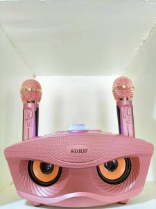 PORTABLE ORIGINAL NEW SDRD KTV BLUETOOTH SPEAKER AUXILLARY FREE 2PCS WIRELESS MIC