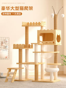 ตู้เล่นสำหรับแมวขนาดใหญ่ รุ่น Maine Coon เอวี สไตล์ห้องสูง ไม่กินพื้นที่ ต้นไม้เล่นสำหรับแมว ของเล่นแมว ตัวละครดิสนีย์