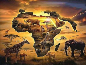 Jigsaw Puzzle Stunning African Grassland Wall Art For Adults Perfect For Family Game Night And Brain Exercise