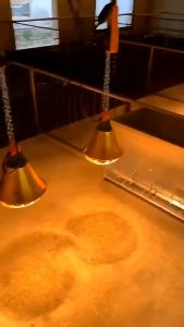 Viddavet 1 set Hood and wiring with control temp switch plus 100watts brooder lamp/infrared bulb