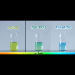 AKNY Intelli-C Sodium Ascorbate 1000 mg: Immune System Booster & Antioxidant Supplement