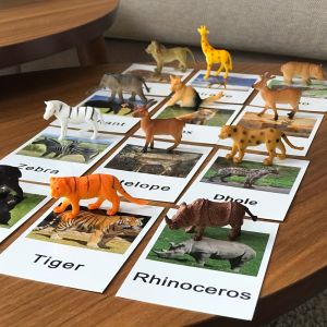 Montessori Animal Matching CardLanguage Learning Cognitive Kids Educational Toy Insect Farm Zoo Preschool Toddler 1 2 Years Old