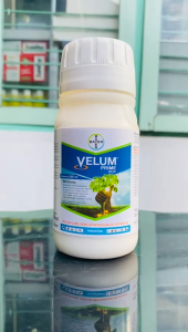 Nematisida Sistemik VELUM PRIME 400SC isi kemasan 100ml 250ml dari BAYER