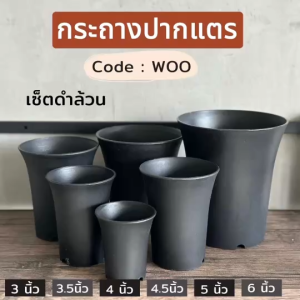 กระถางปากแตร woo 3นิ้ว 3.5นิ้ว 4นิ้ว 4.5 นิ้ว 5 นิ้ว 6 นิ้ว(เนื้อด้าน ทรงมาตรฐาน) กระถางกระบองเพชร กระถางแคคคัส