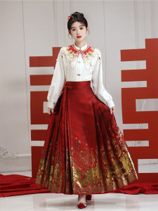 Red Hanfu Half Skirt Wedding Dress for Women Original Design Adult Size Chinese Style Engagement Return Gift to Parents