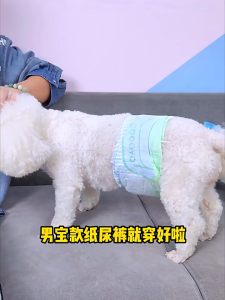 Cocoyo Pet Dog and Cat Diapers For Female And Male Strong Absorb Soft and Breathable Odor-Control & Leak-Proof Design (10pcs/bag) XS/S/M/L/XL/XXL