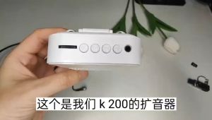 Bluetooth Voice Amplifier Microphone with Head Microphone and Waistband Little Bee Megaphone Teacher Special Portable Outdoor Headset Tour Guide Loudspeaker