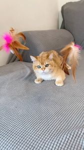 [Multifunctional] Cat Toys Cat Teaser Stick Toys For Cats Cat Play Toy Cat Toys Kitten Kucing Mainan Kucing Murah